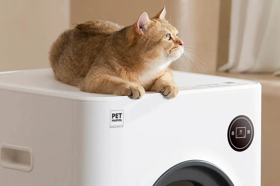mechanical litter box
