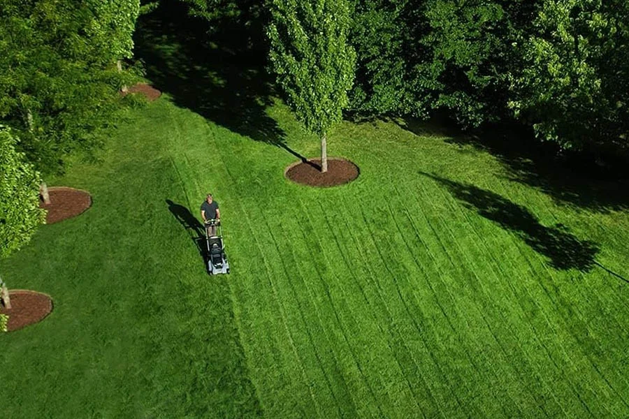 best electric mower for small yard