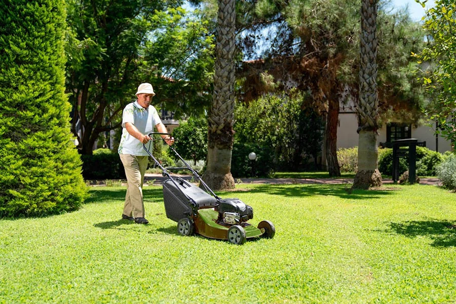 top rated electric mowers